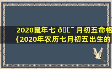 2020鼠年七 🐯 月初五命格（2020年农历七月初五出生的宝宝好吗）